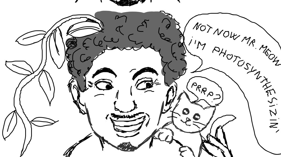 cessicat 2026-3-8 15_18_29_318